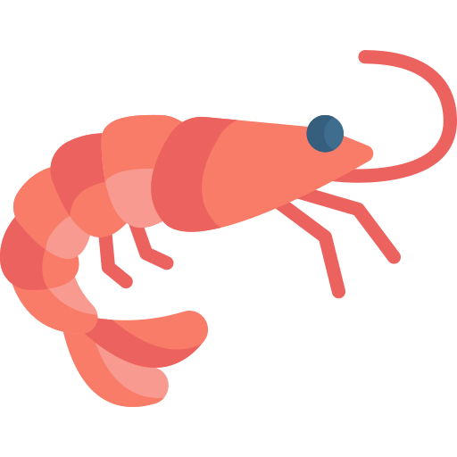 Ikan Segar - Udang Ukuran Sedang